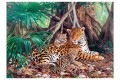 Пазл Castorland Ягуары в джунглях, 3000 деталей
